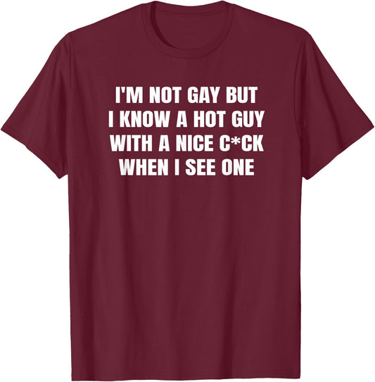 I'm not gay but I know a hot guy with a nice when I see one T-Shirt - T-Shirt | Maroon