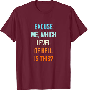 Excuse Me Which Level Of Hell Is This - Sarcastic Antisocial T-Shirt - T-Shirt | Maroon