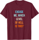 Excuse Me Which Level Of Hell Is This - Sarcastic Antisocial T-Shirt - T-Shirt | Maroon