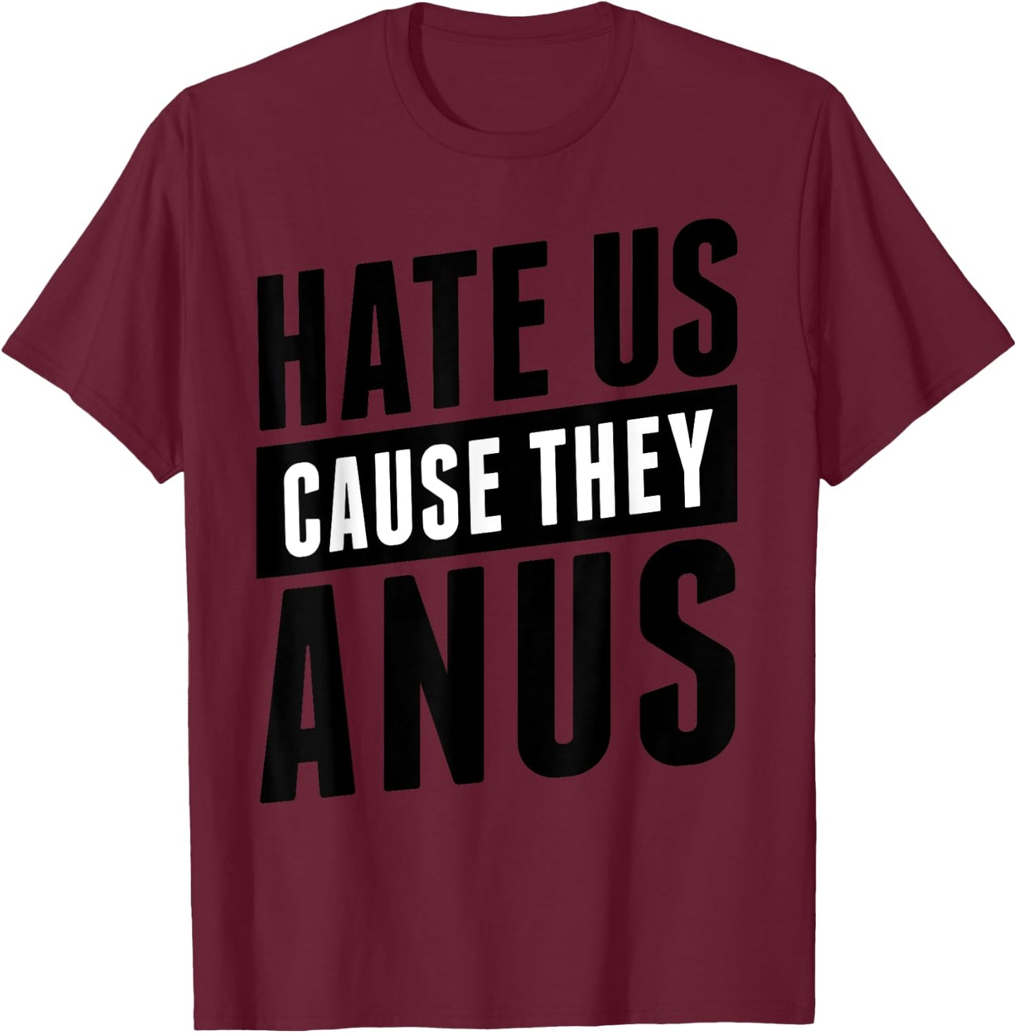 Hate Us Cause They Anus Funny Shirt T-Shirt - T-Shirt | Maroon