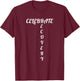 Celebrate Your Recovery Anti-Addiction shirt T-Shirt - T-Shirt | Maroon