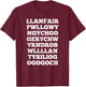 Llanfairpwllgwyngyll | Llanfair PG | Llanfair Pwllgwyngyll T-Shirt - T-Shirt | Maroon