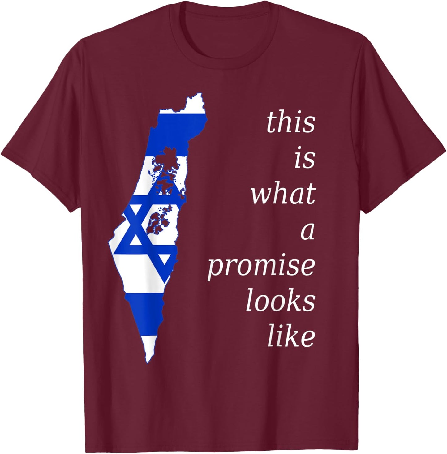 This is What a Promise Looks Like israel Jew Hebrew Jewish T-Shirt - T-Shirt | Maroon