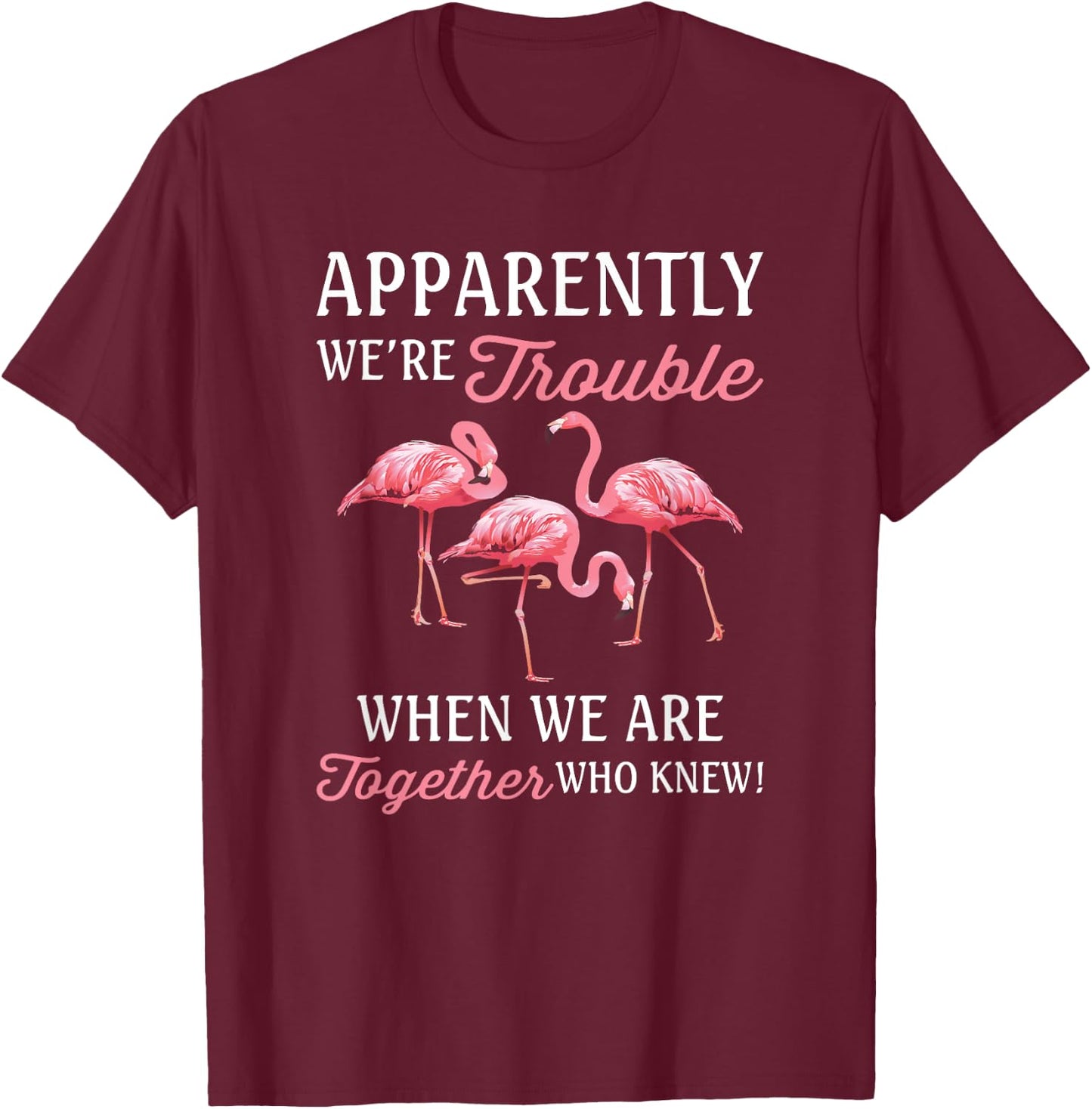 Apparently We're Trouble When We Are Together Who Knew T-Shirt - T-Shirt | Maroon
