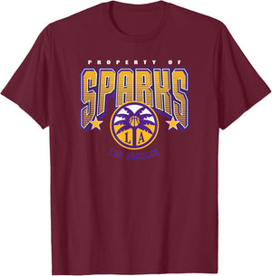 WNBA Los Angeles Sparks Nothing but Net T-Shirt - T-Shirt | Maroon