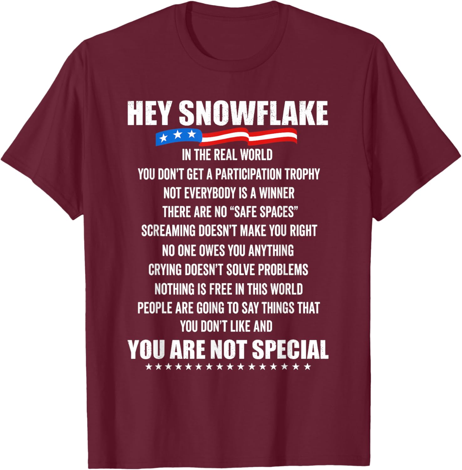Hey Snowflake in The Real World Motivational Truths T-Shirt - T-Shirt | Maroon
