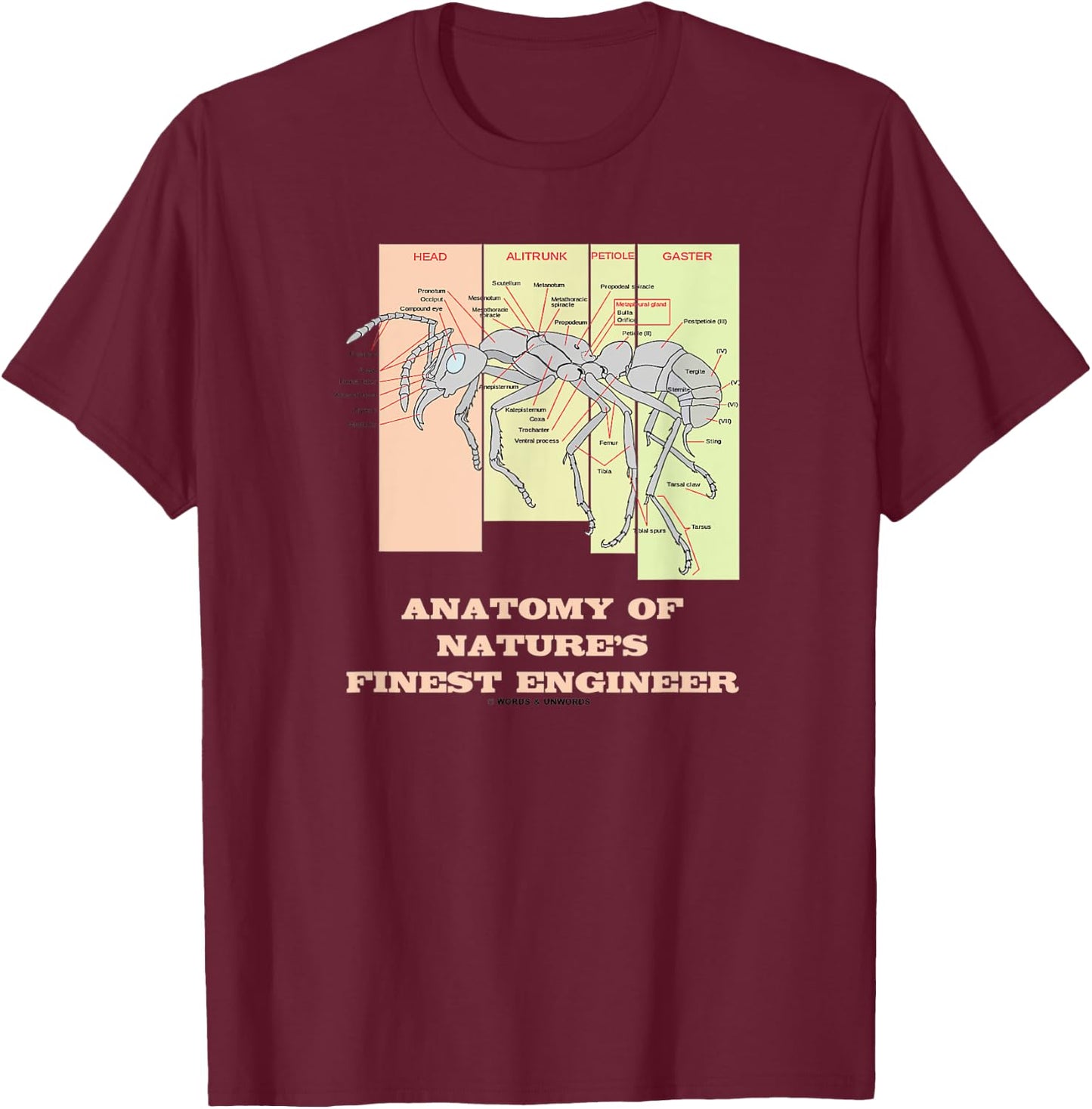 Anatomy Of Nature's Finest Engineer Worker Ant Anatomy T-Shirt - T-Shirt | Maroon