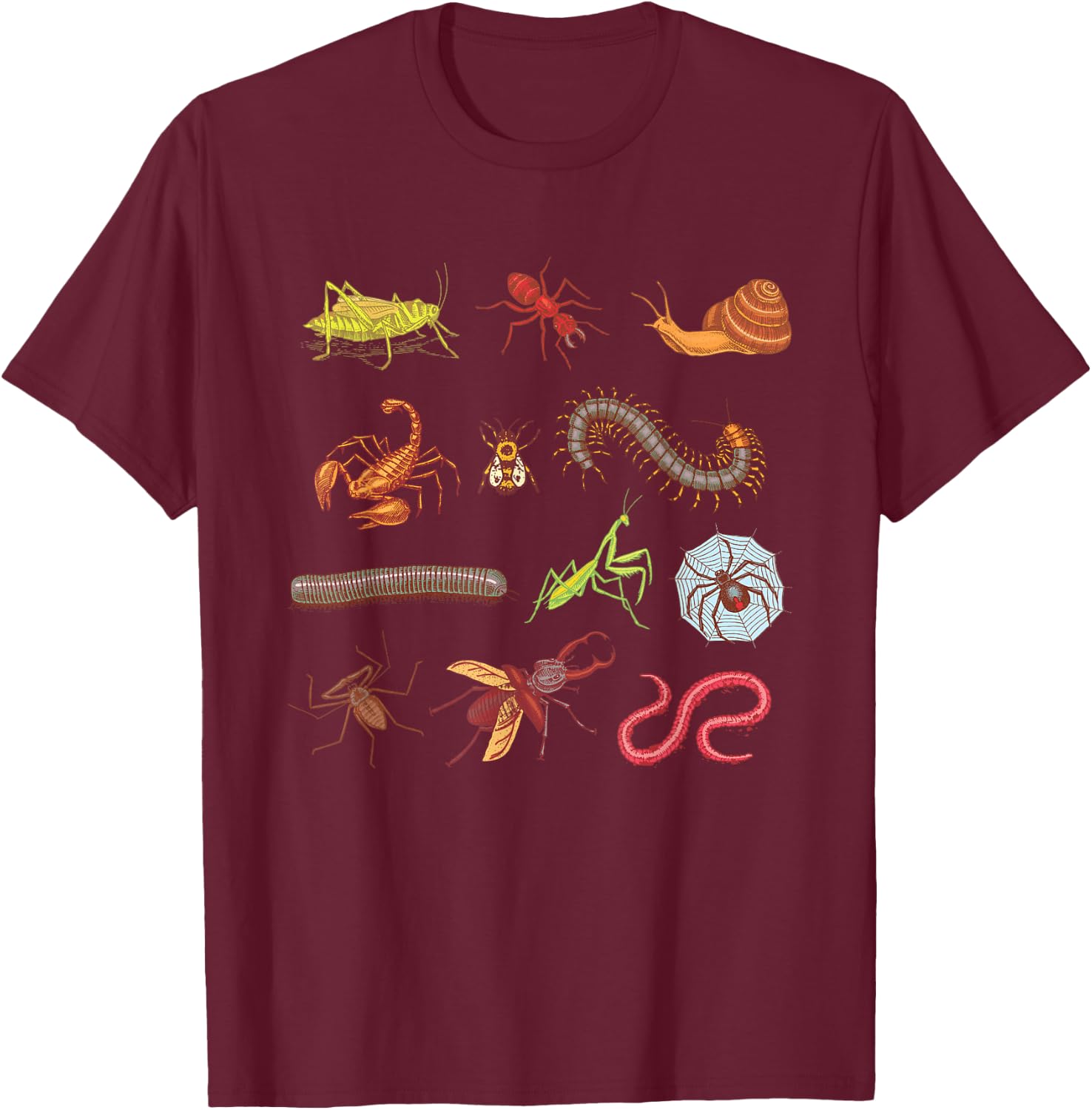 Entomologist Entomology Insects Type of Bugs Gift T-Shirt - T-Shirt | Maroon
