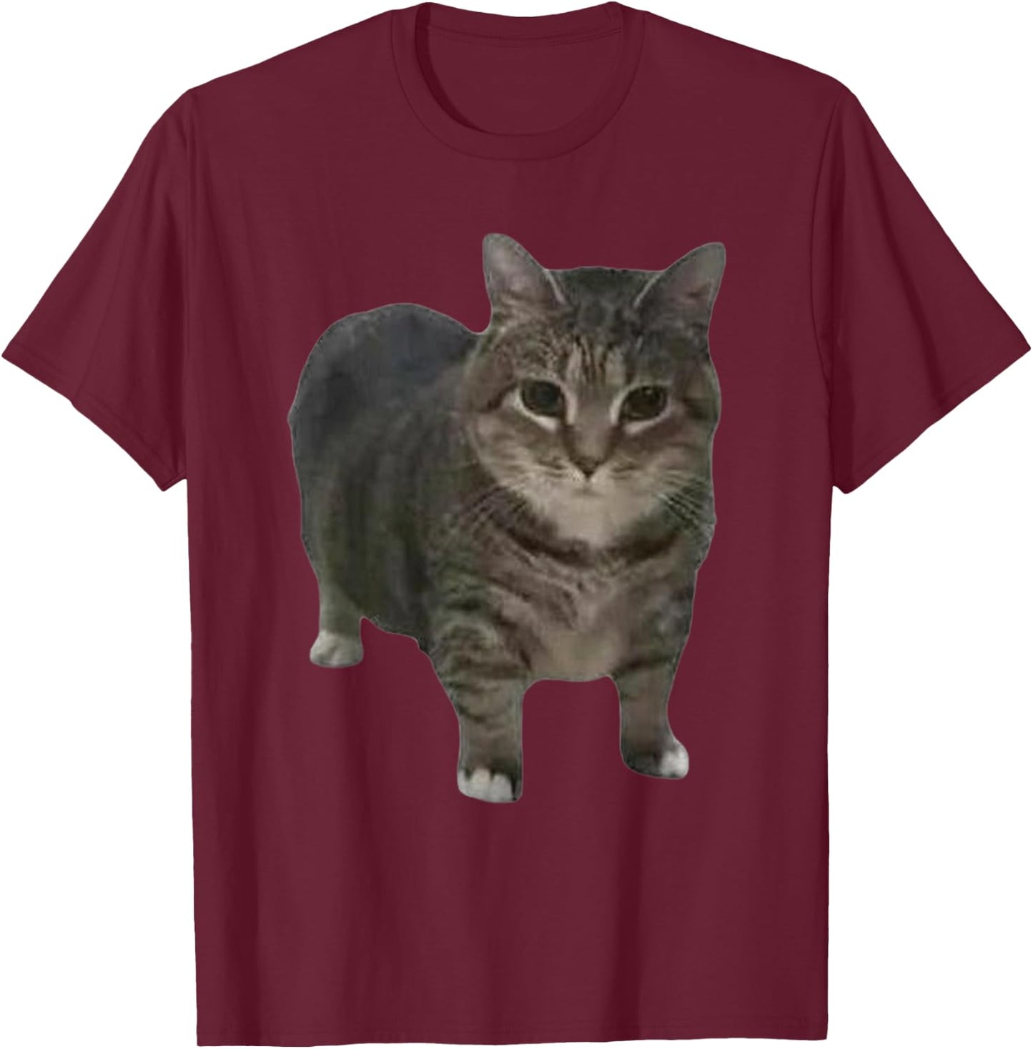 Funny oiia oiia Spinning Cat Meme Men Women T-Shirt - T-Shirt | Maroon