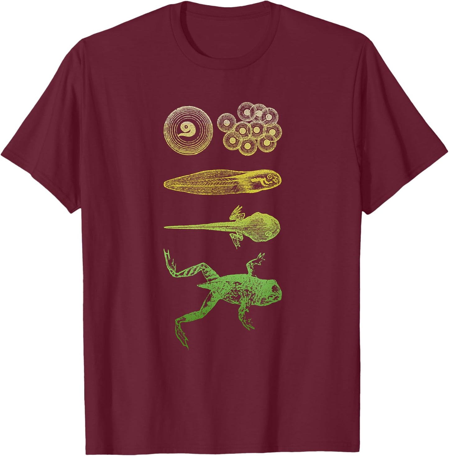 Frog Tadpole Metamorphosis Life Cycle Biology T-Shirt - T-Shirt | Maroon