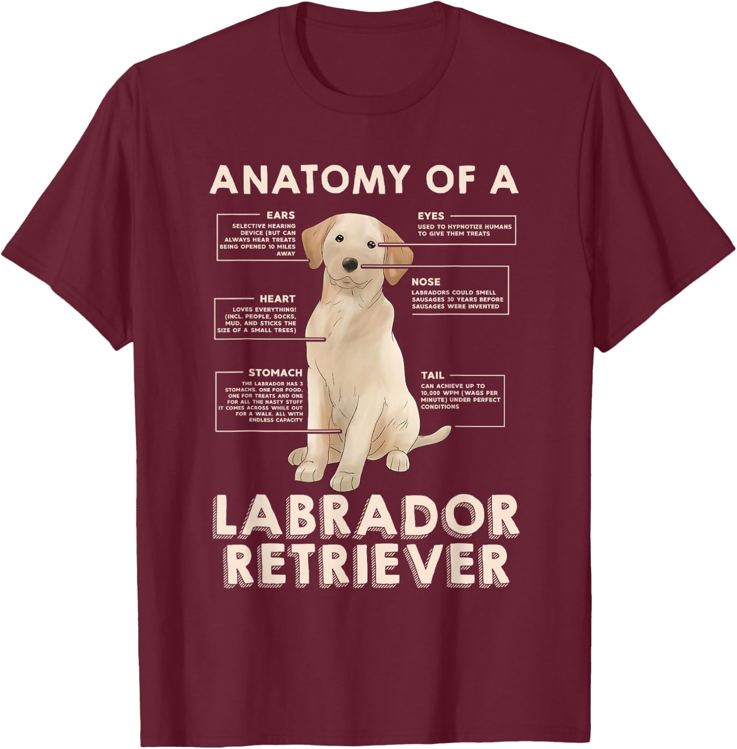 Funny Anatomy of a Labrador Retriever Graphic with Saying T-Shirt - T-Shirt | Maroon