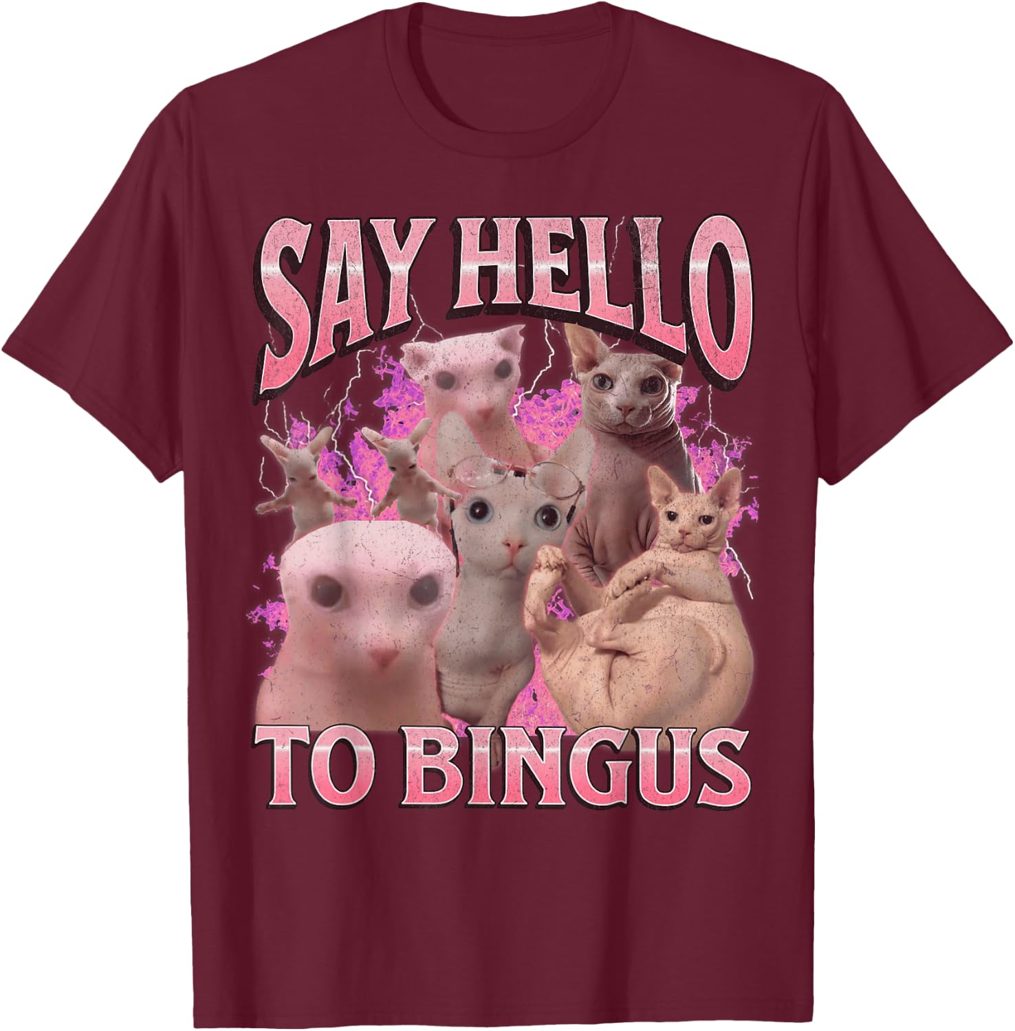 Say Hello To Bingus Funny Sphinx Cat Meme Bootleg Graphic T-Shirt - T-Shirt | Maroon