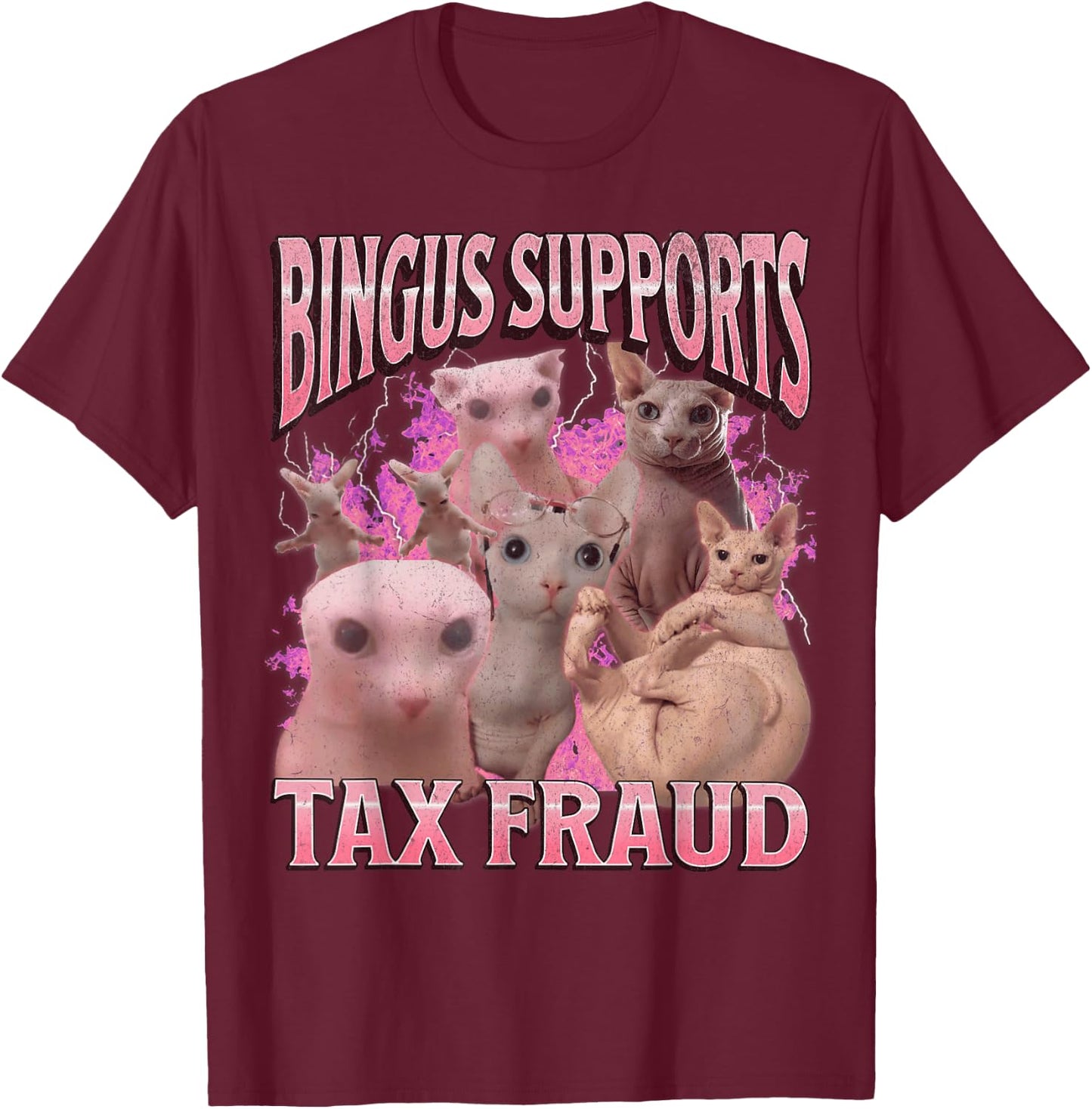Bingus Supports Tax Fraud Funny Sphinx Cat Meme Bootleg T-Shirt - T-Shirt | Maroon