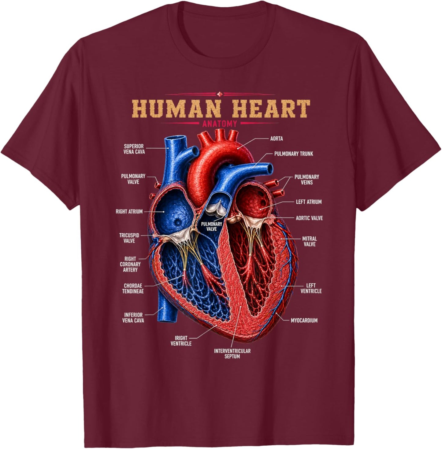Anatomical Heart Structure Anatomy Biology Science Gifts Men T-Shirt - T-Shirt | Maroon