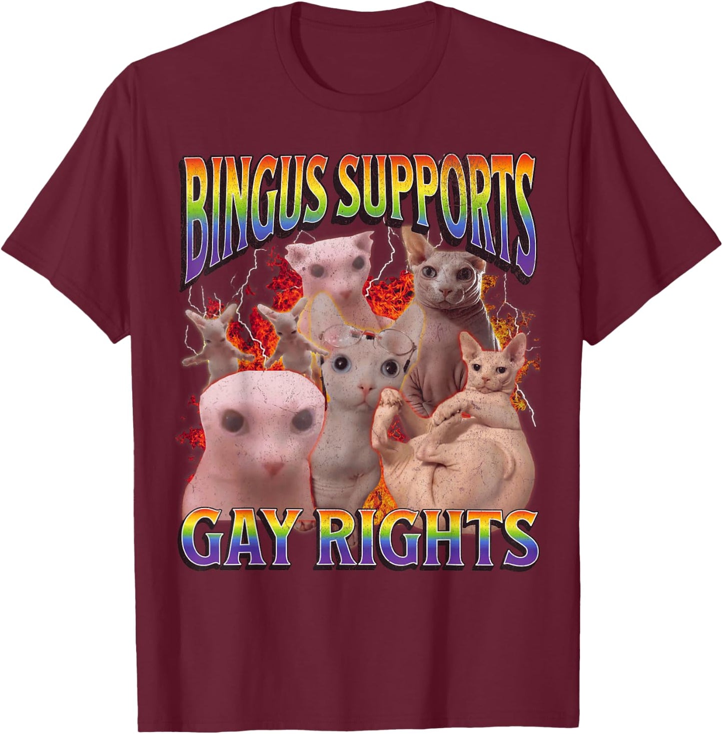 Bingus Supports Gay Rights Funny Sphinx Cat Meme Bootleg T-Shirt - T-Shirt | Maroon