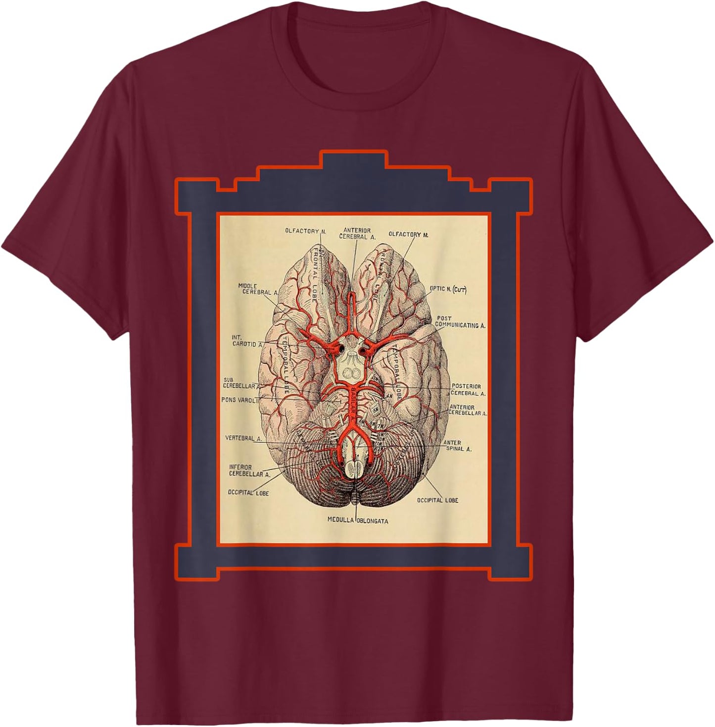 Vintage Human Brain Anatomy Diagram T-Shirt - T-Shirt | Maroon