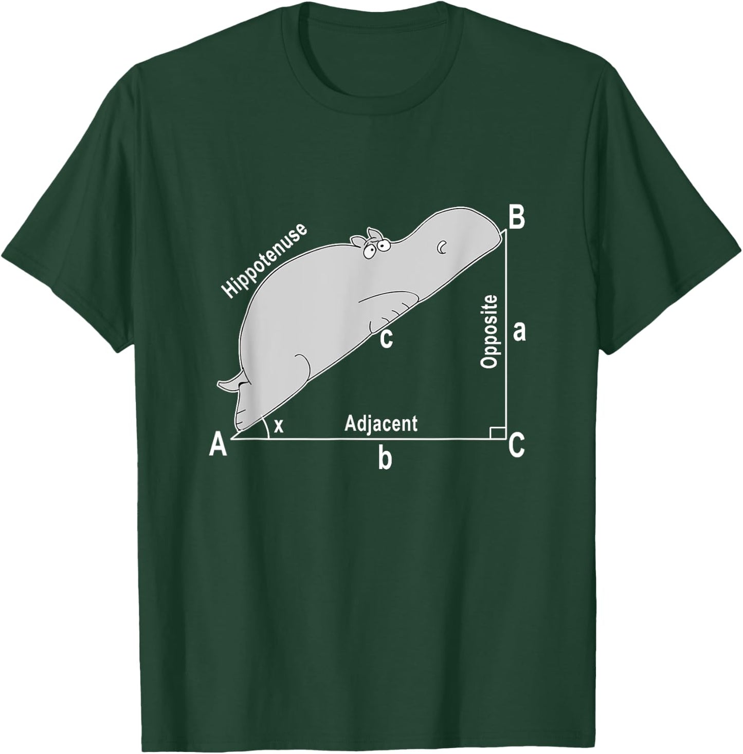 Hippo Math Analytical Funny Sarcasm Humor Teacher Men Women Girls Kids T-Shirt - T-Shirt | Forest