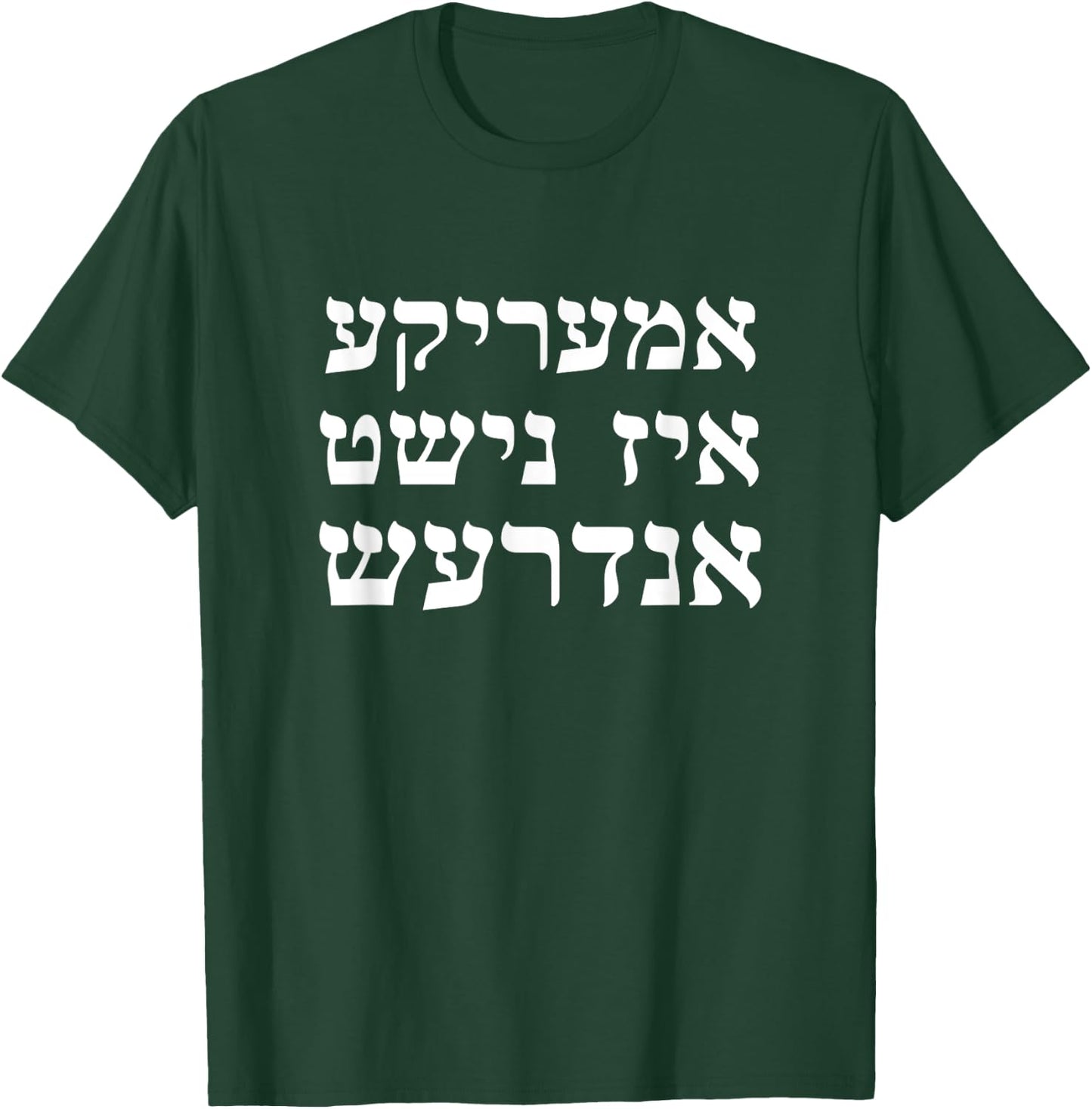 Jewish Chabad Slang America Is No Different Kinus Hashluchim T-Shirt - T-Shirt | Forest