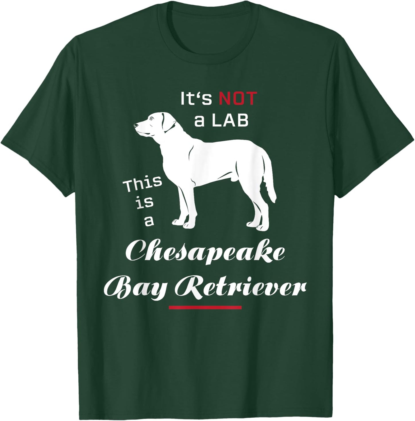 It's not a Lab this is a Chesapeake Bay Retriever T-Shirt - T-Shirt | Forest