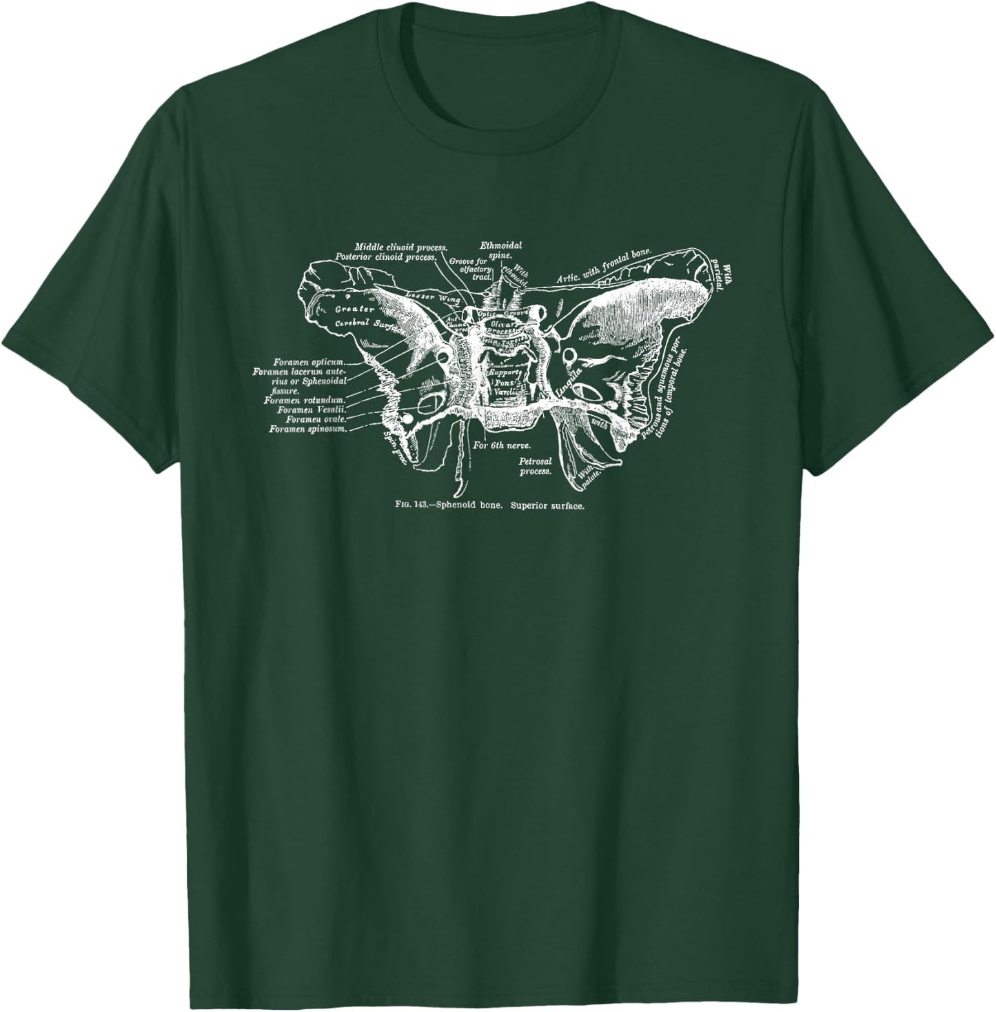 Cranium Sphenoid Bone Anatomy T-Shirt - T-Shirt | Forest