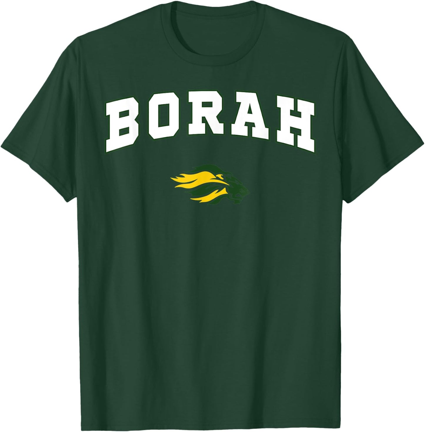 Borah High School Lions C2 T-Shirt - T-Shirt | Forest