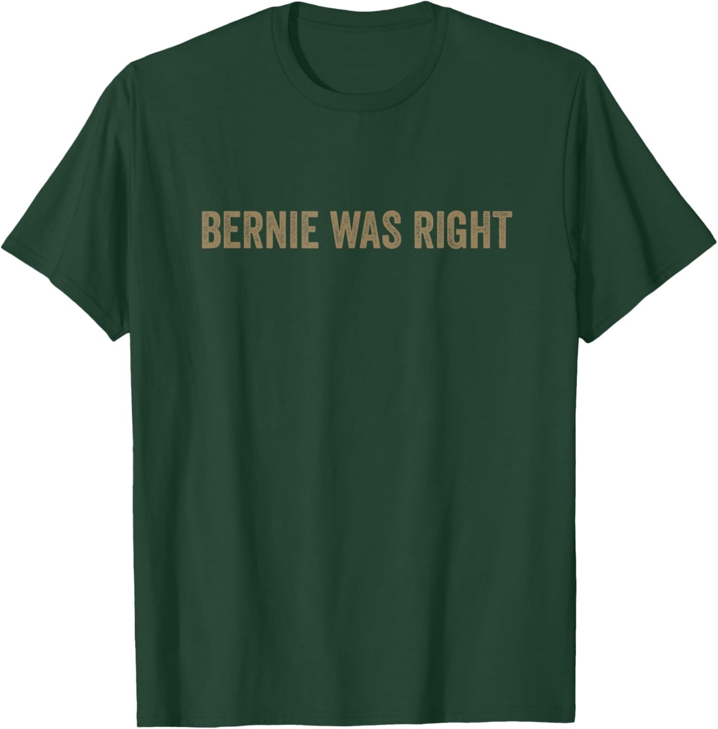 Bernie Sanders Bernie was Right Indivisible No Kings Protest T-Shirt - T-Shirt | Forest
