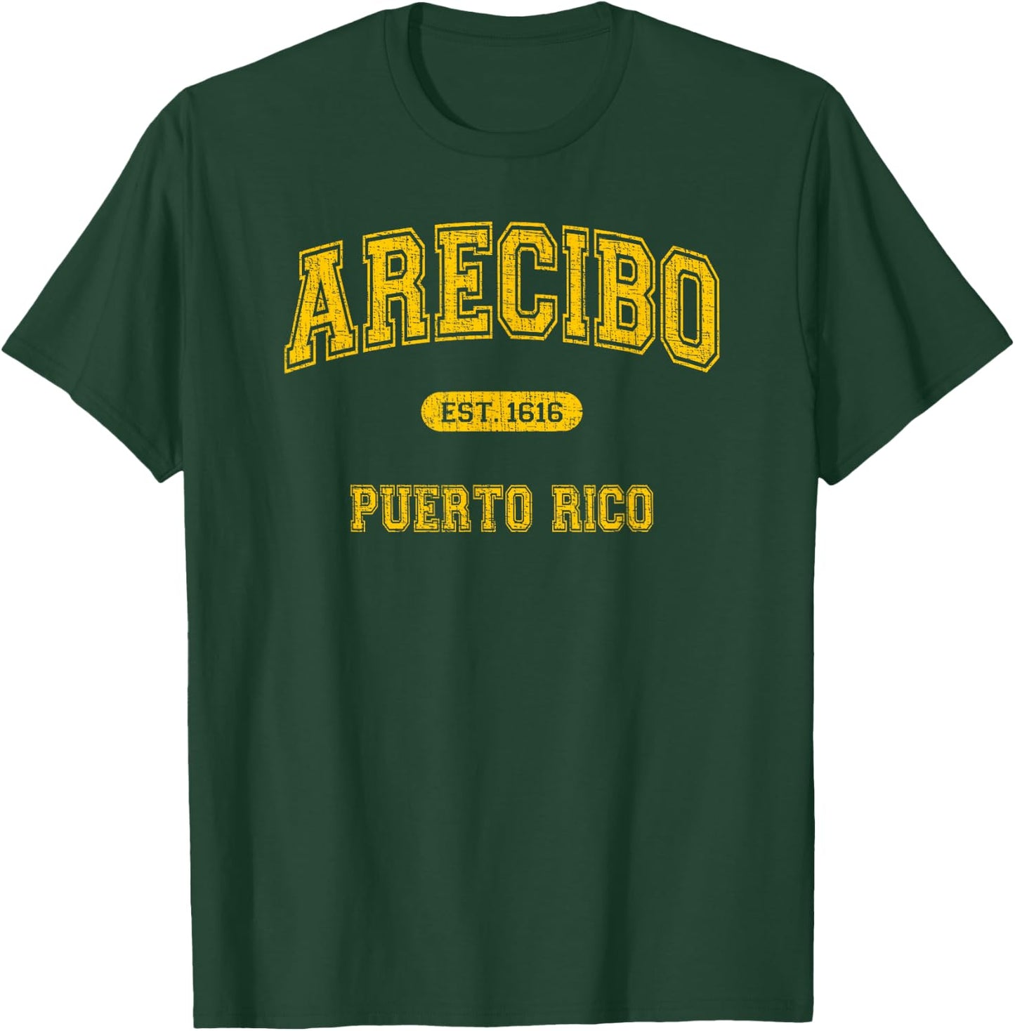 Retro School-Style Arecibo, Puerto Rico 1616 T-Shirt - T-Shirt | Forest