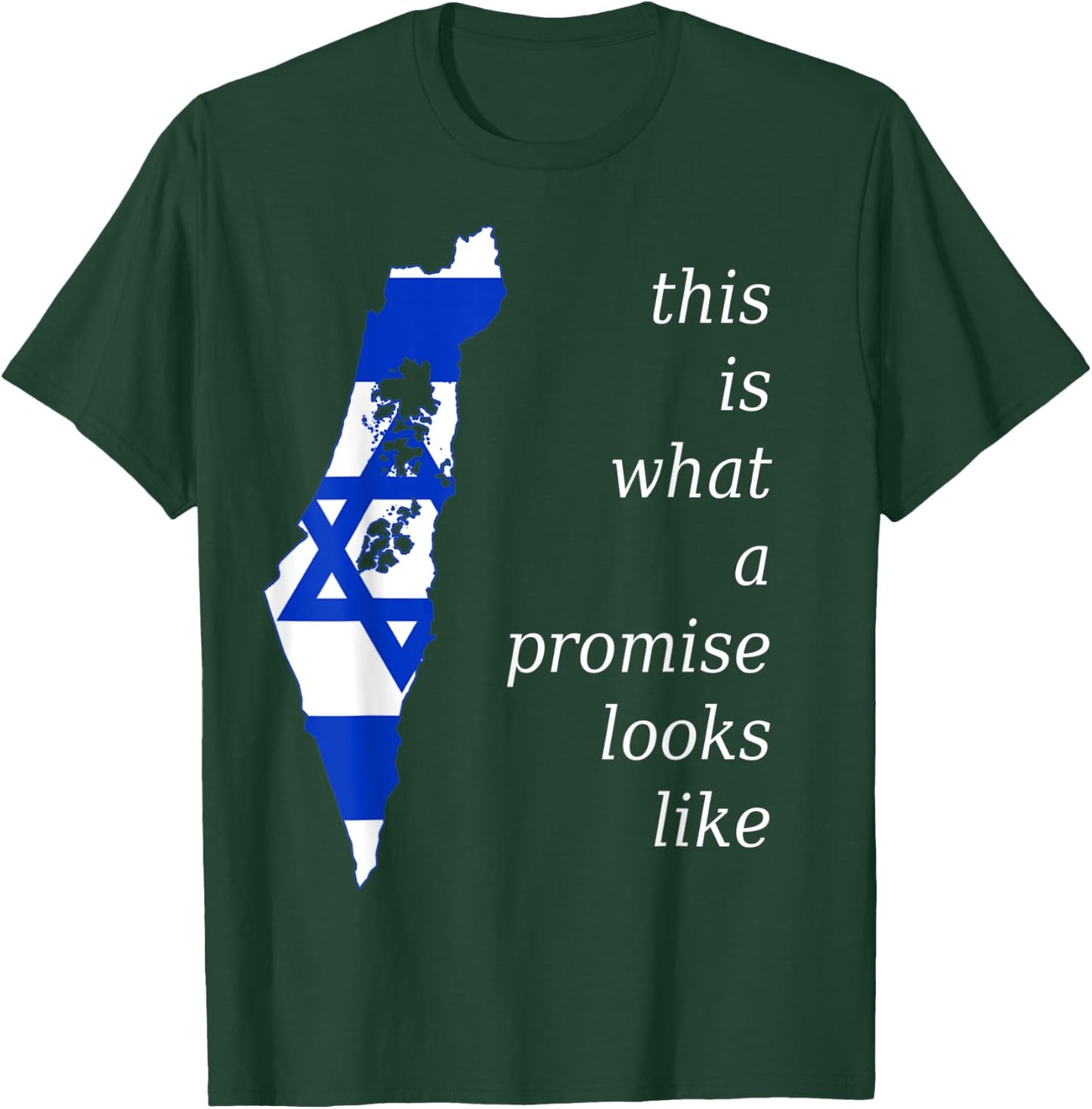 This is What a Promise Looks Like israel Jew Hebrew Jewish T-Shirt - T-Shirt | Forest
