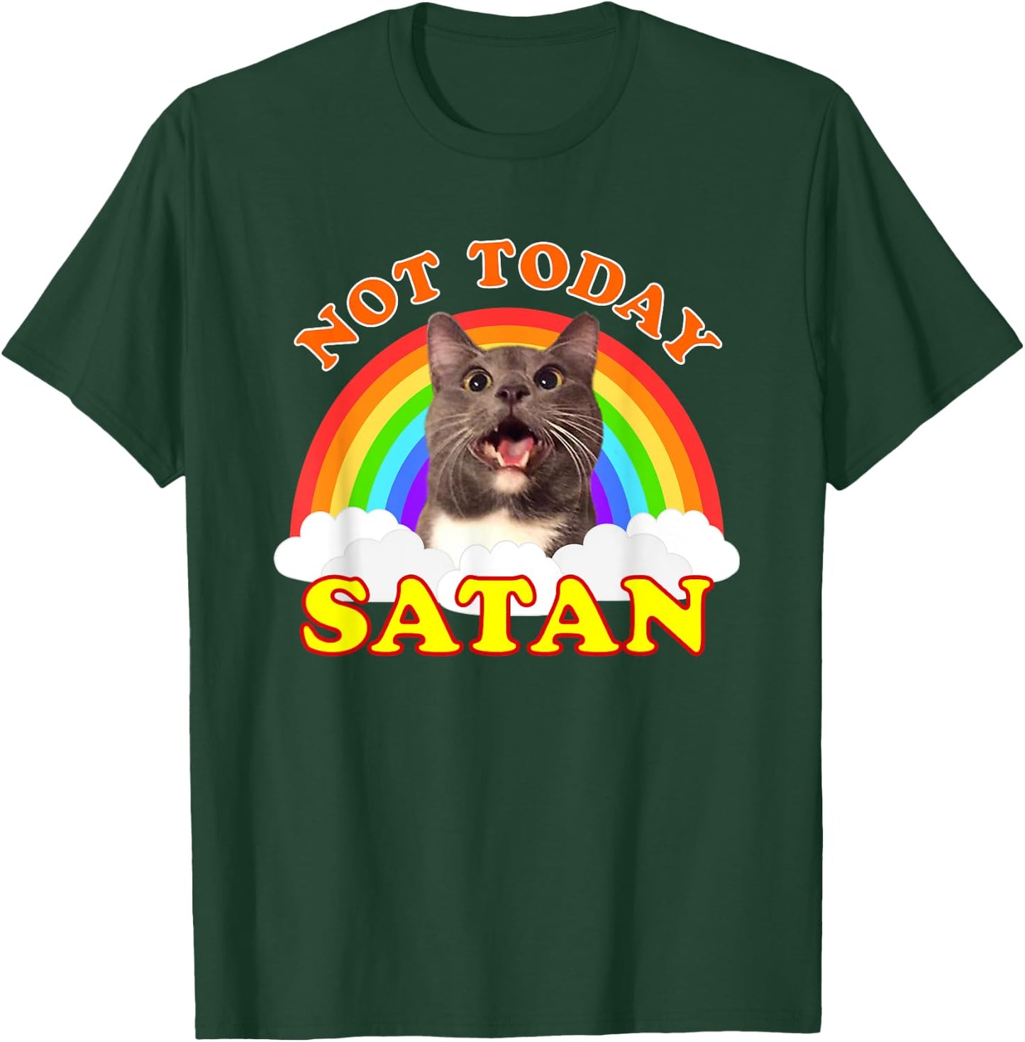 Not Today Satan Funny Rainbow Cat Meme Men Women Girls Kids T-Shirt - T-Shirt | Forest
