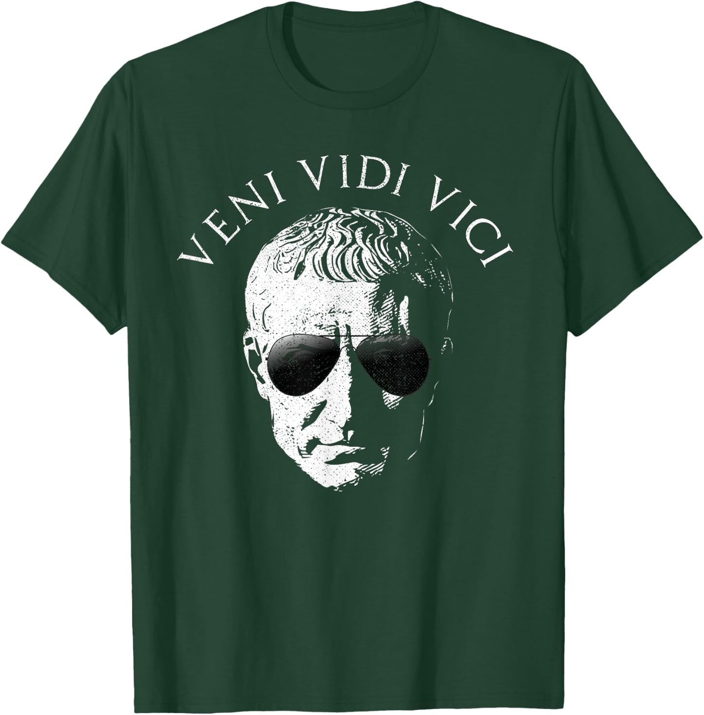 Veni Vidi Vici Gaius Julius Caesar Roman Empire T-Shirt - T-Shirt | Forest