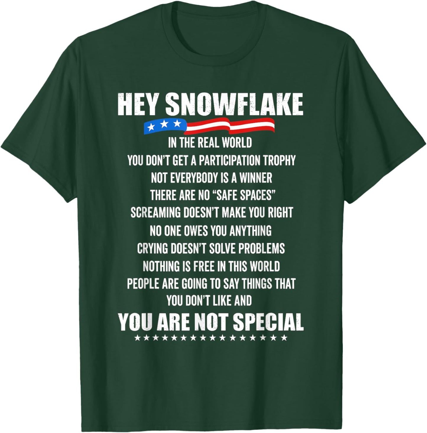 Hey Snowflake in The Real World Motivational Truths T-Shirt - T-Shirt | Forest