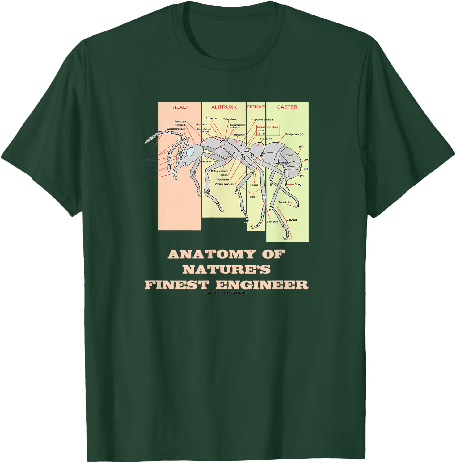 Anatomy Of Nature's Finest Engineer Worker Ant Anatomy T-Shirt - T-Shirt | Forest