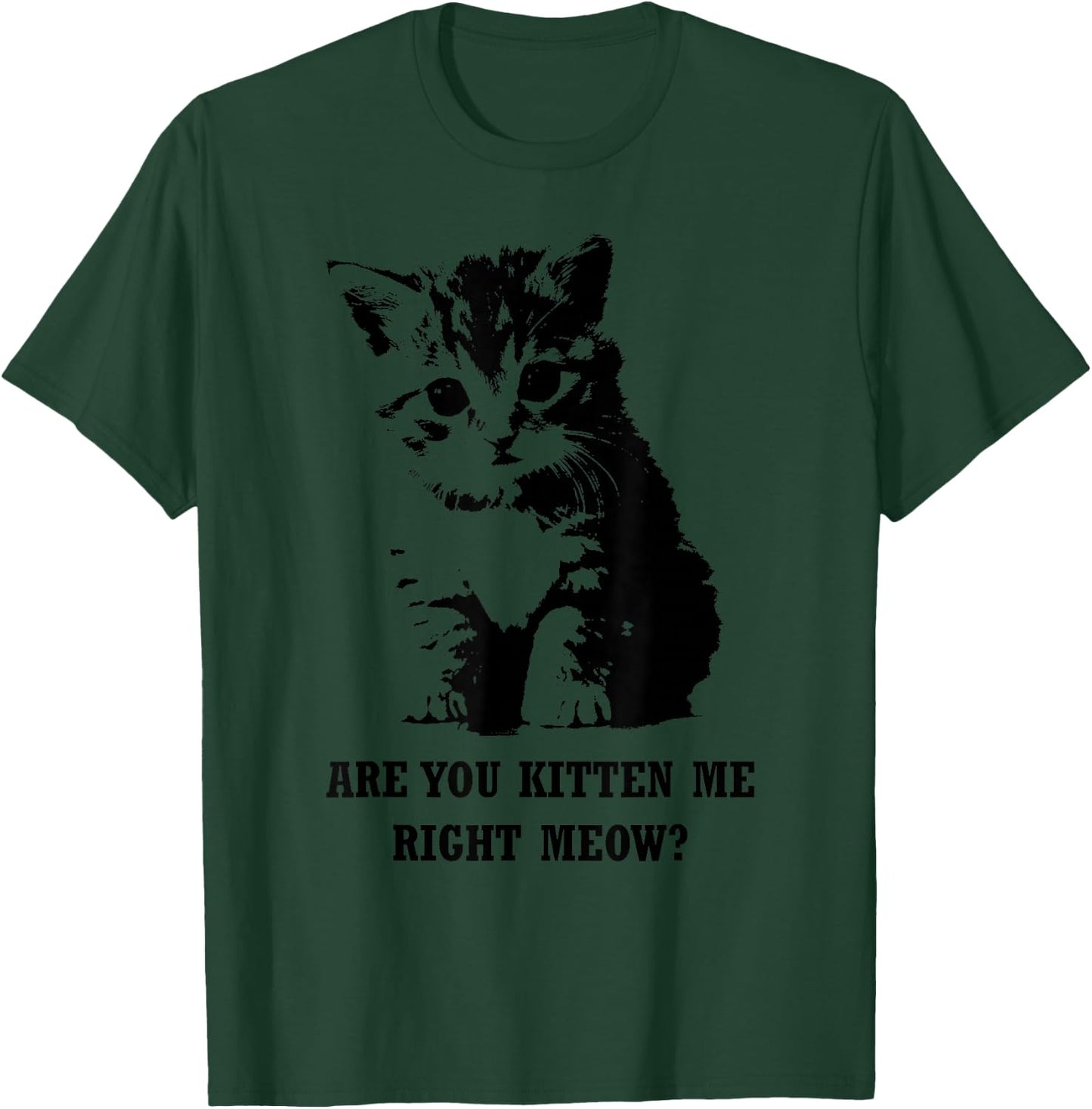 Are You Kitten Me Right Meow T-Shirt - T-Shirt | Forest