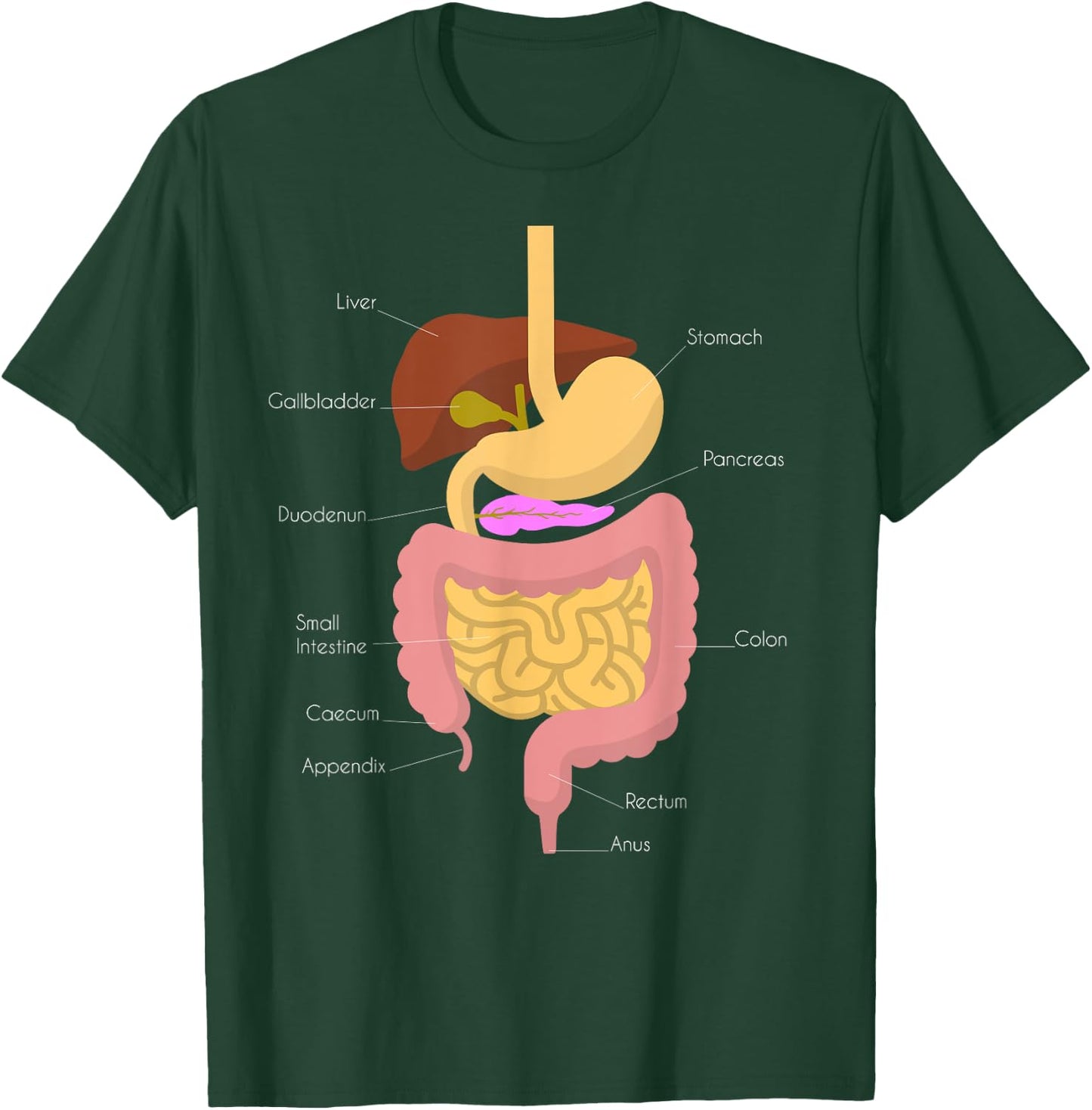 Digestive System T-Shirt - T-Shirt | Forest
