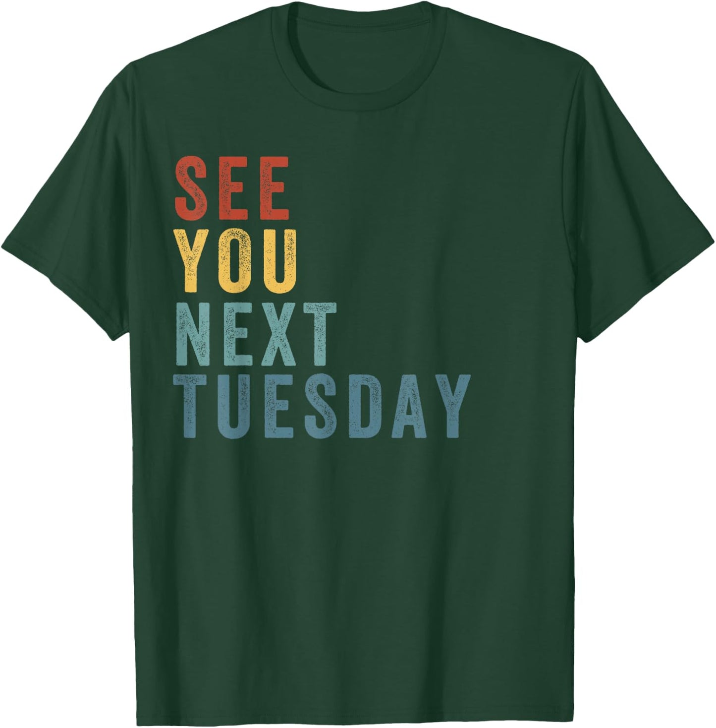 See You Next Tuesday, Salty Funny Quote, Funny Meme T-Shirt - T-Shirt | Forest