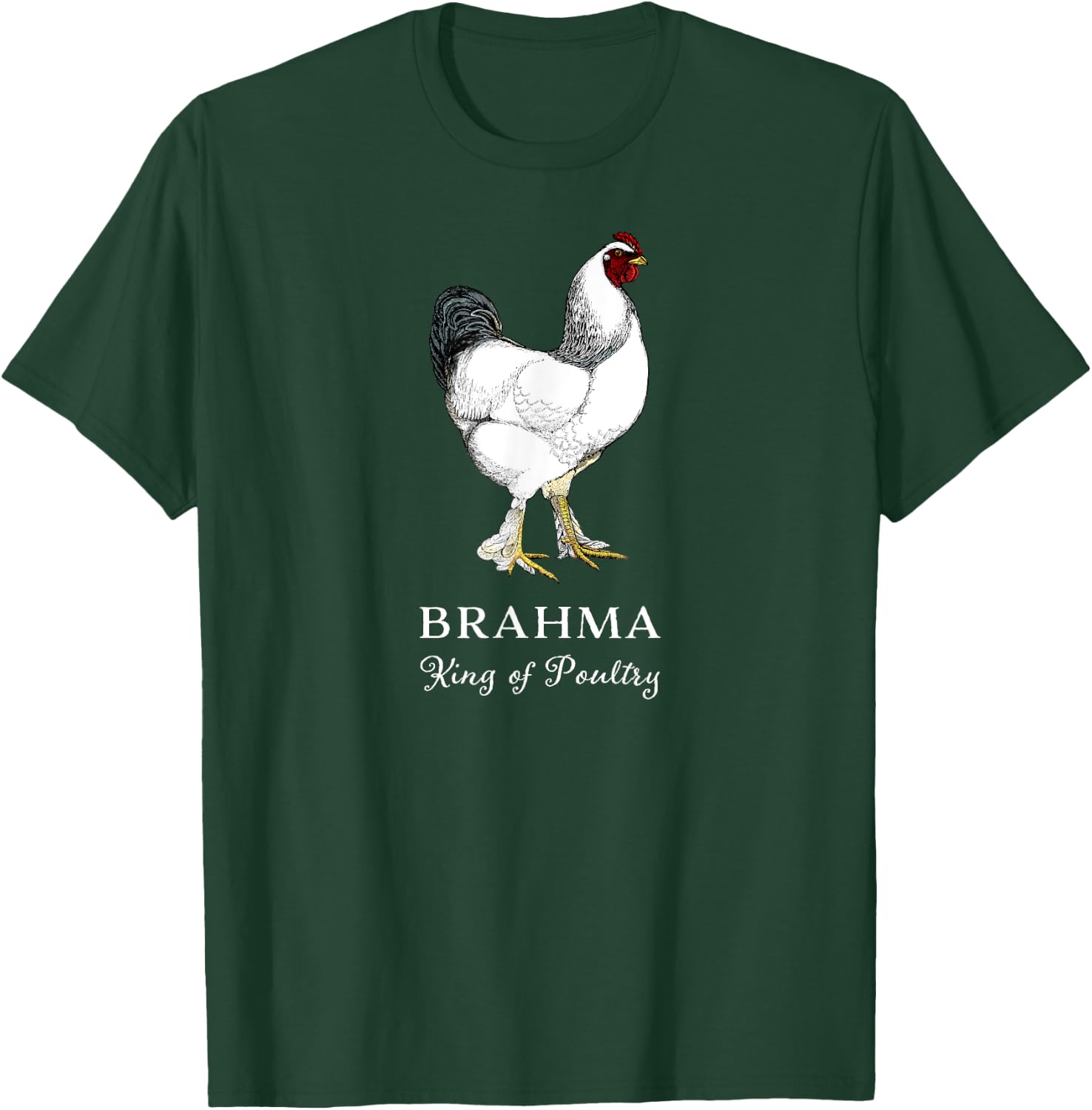 Brahma Rooster King of Poultry T-Shirt - T-Shirt | Forest