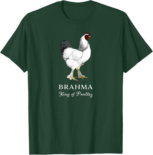 Brahma Rooster King of Poultry T-Shirt - T-Shirt | Forest