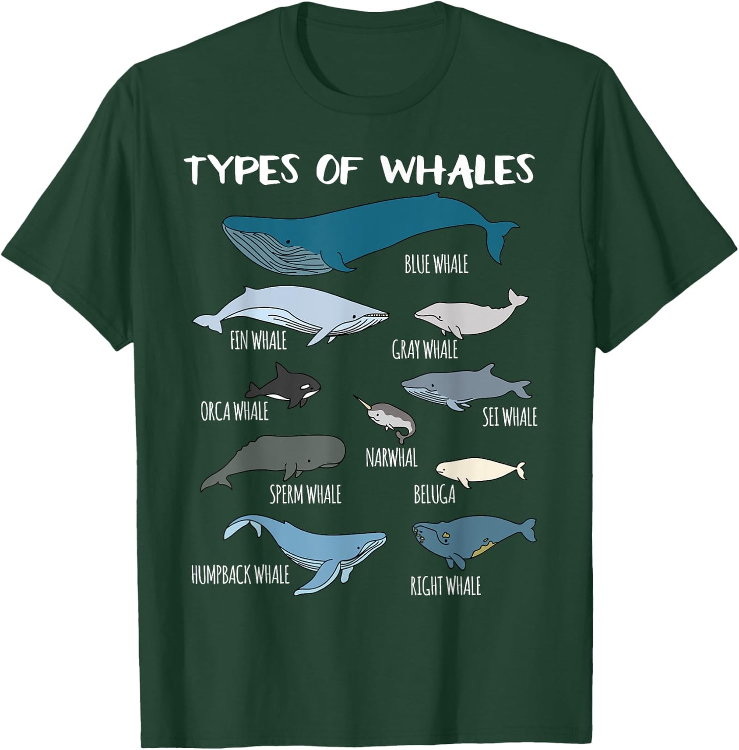 Types Of Whales Cute Ocean Mammals Guide T Shirt T-Shirt - T-Shirt | Forest
