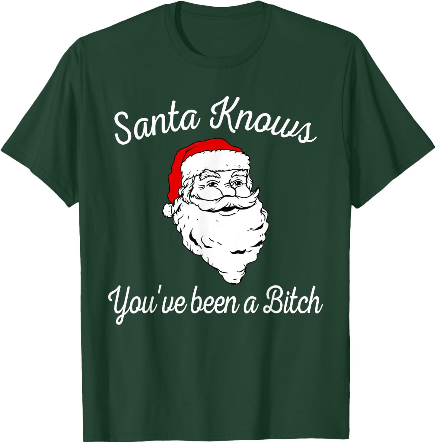Santa Knows You've Been a Bitch Offensive Funny T-Shirt - T-Shirt | Forest
