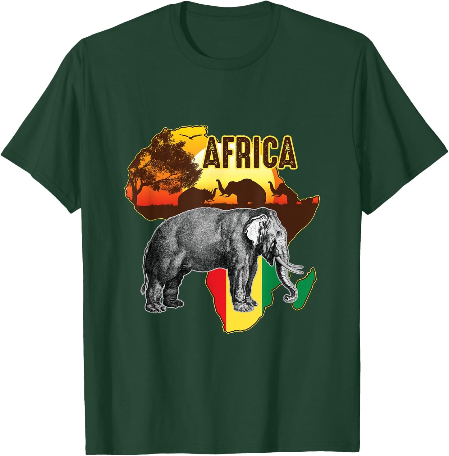 African Flag Africa Roots Black History T-Shirt - T-Shirt | Forest