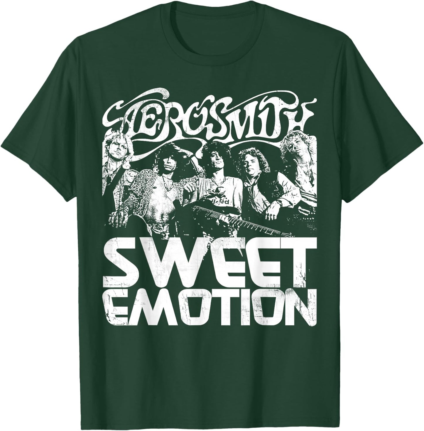 Aerosmith - Sweet Emotion T-Shirt - T-Shirt | Forest