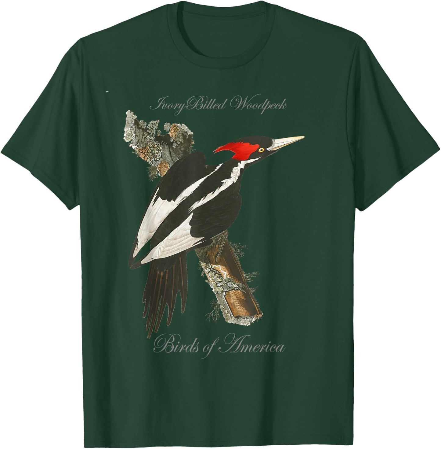 Ivory Billed Woodpecker - Birds of America Series T-Shirt - T-Shirt | Forest