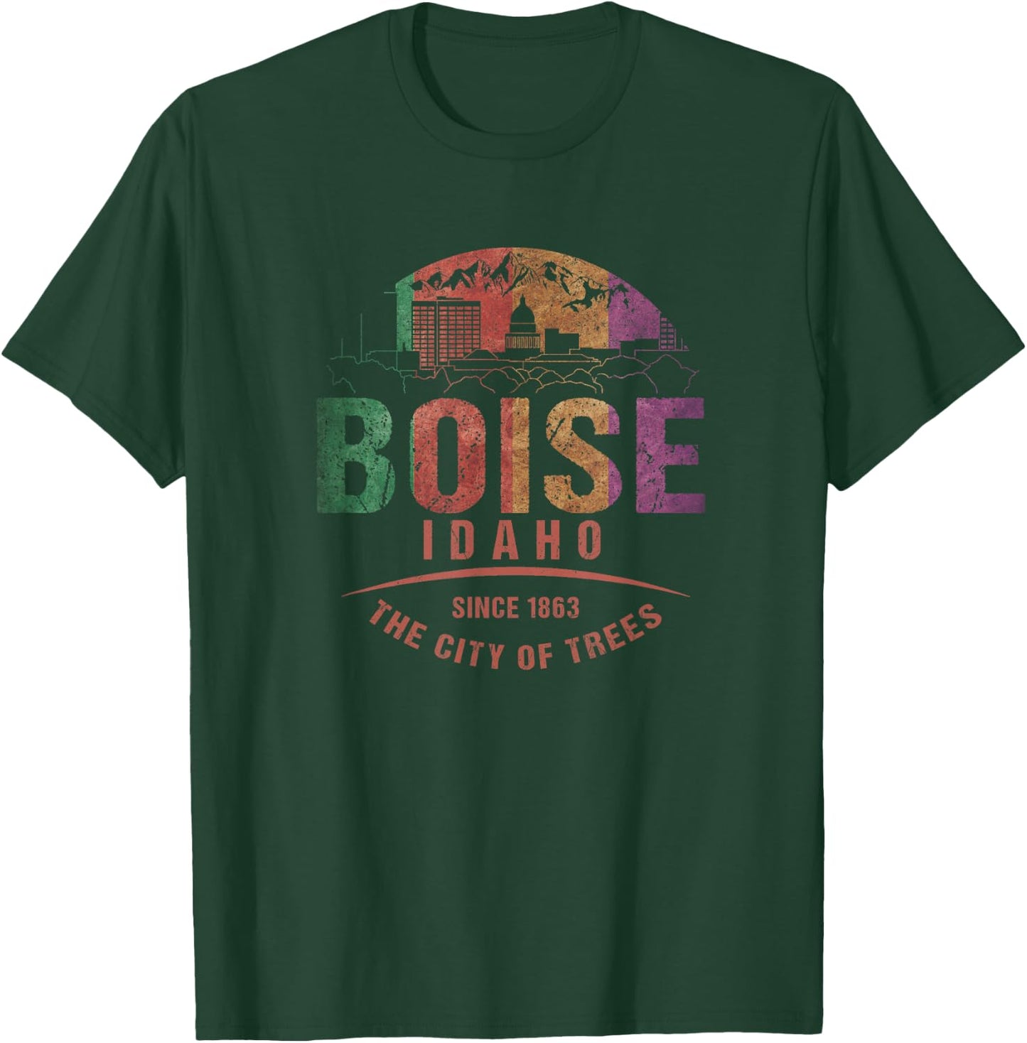Boise Idaho City of Trees Grunge Art Novelty Souvenir T-Shirt - T-Shirt | Forest