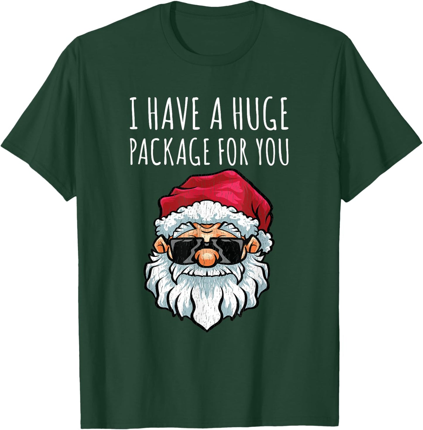 Dirty Christmas Shirt Naughty Raunchy Shirt Package T-Shirt - T-Shirt | Forest