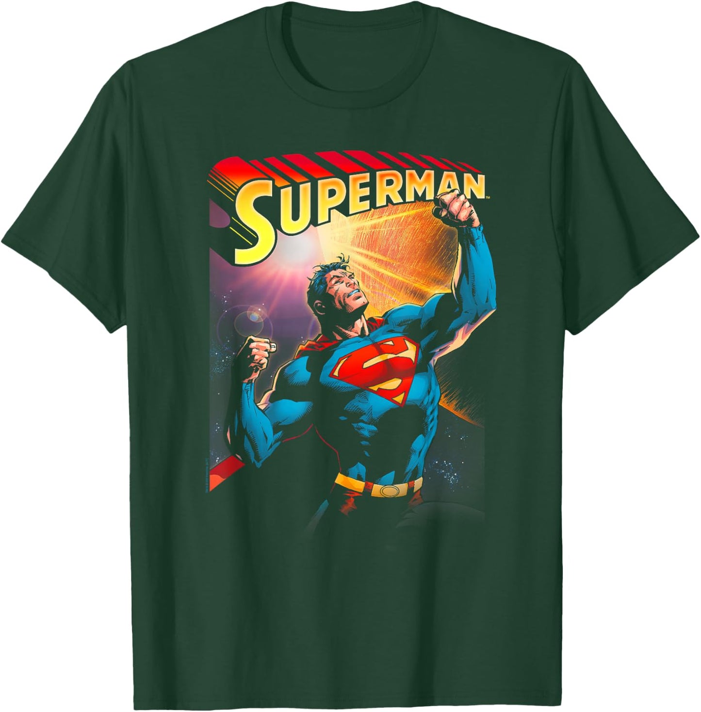 DC Comics Superman Victory -Adult , Black, Small, Short Sleeve T-Shirt - T-Shirt | Forest