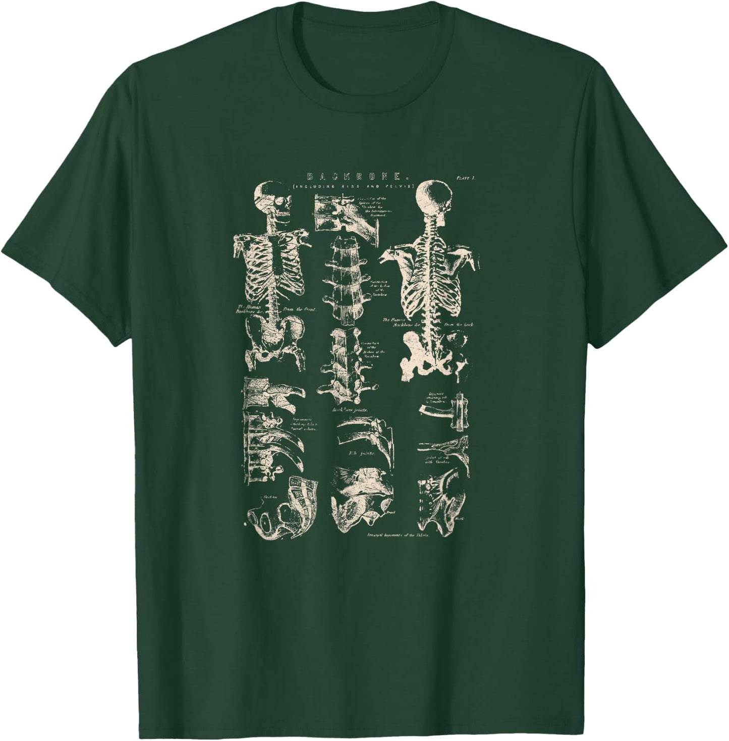 Vintage Backbone Illustration Human Anatomy Medical Science T-Shirt - T-Shirt | Forest