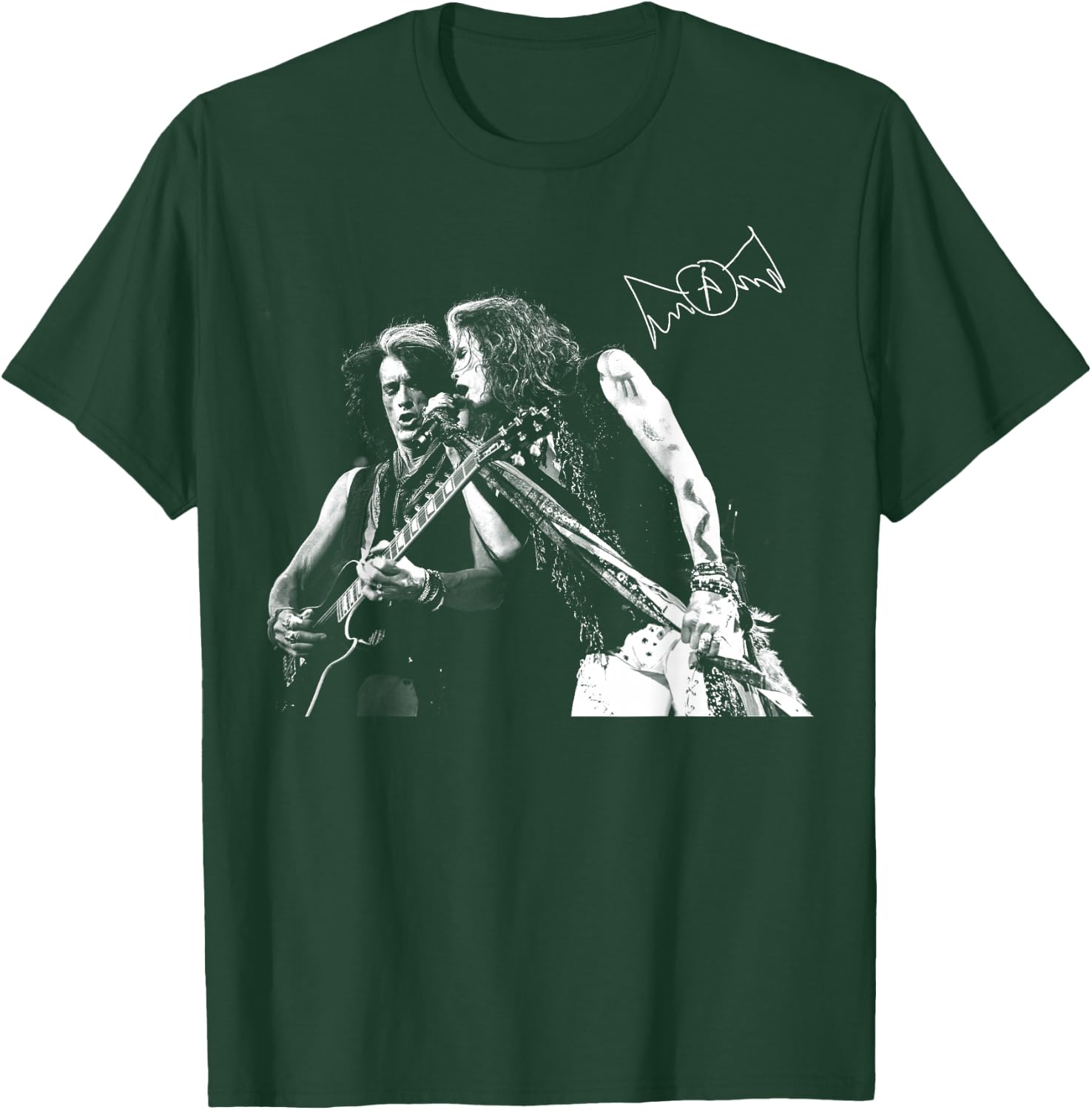 Aerosmith - S&J T-Shirt - T-Shirt | Forest