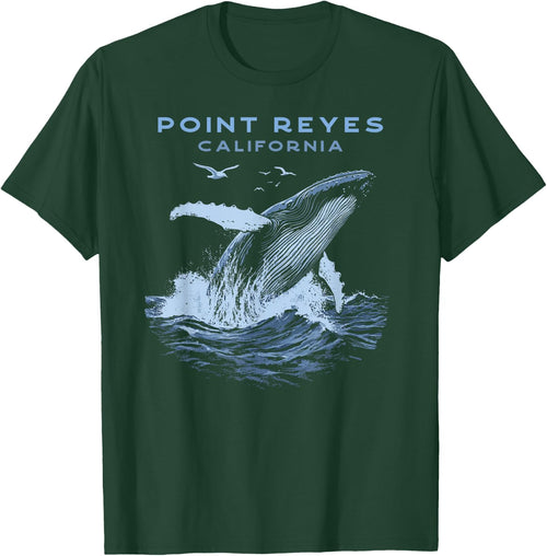 Point Reyes California Humpback Whale