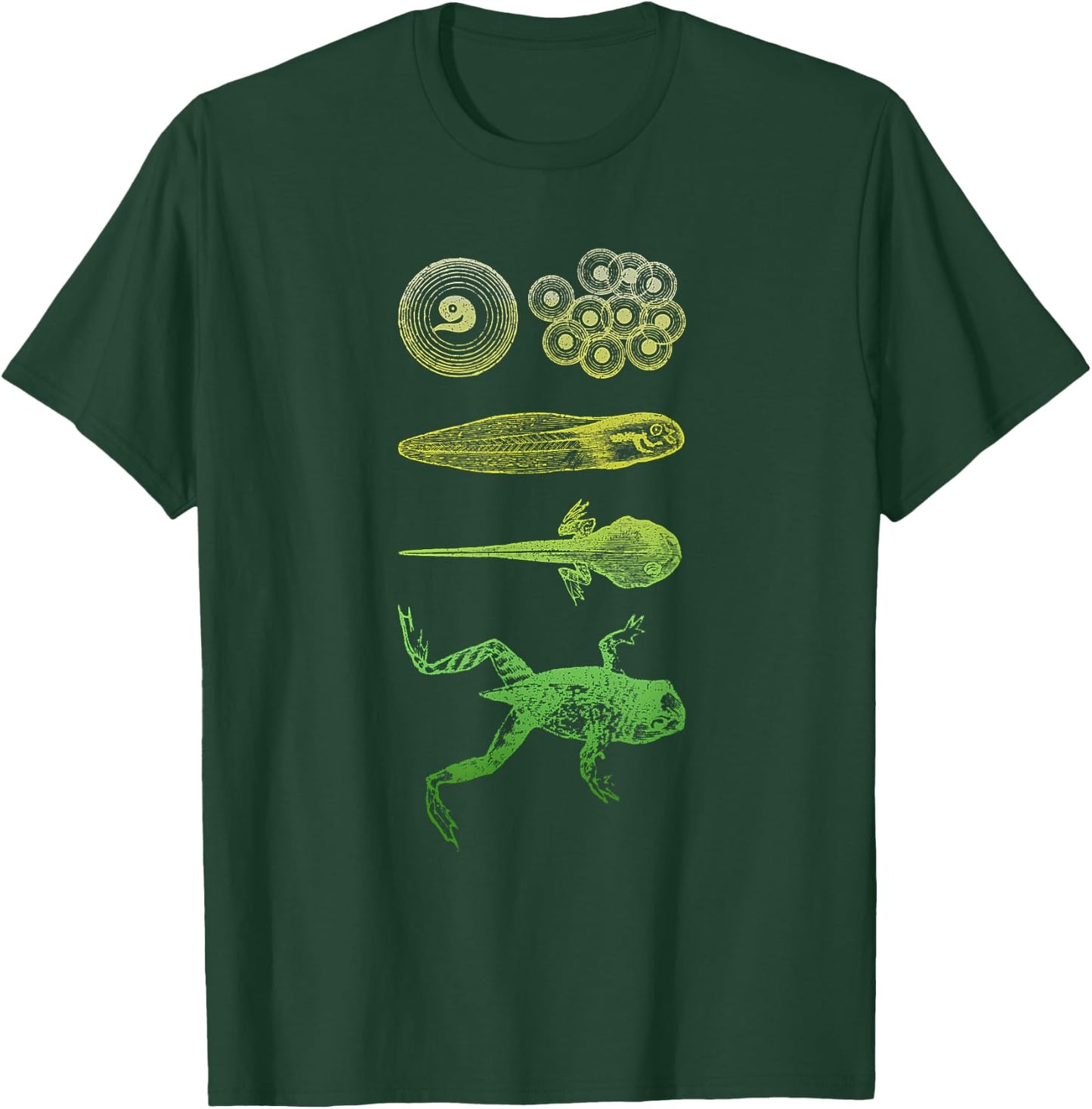 Frog Tadpole Metamorphosis Life Cycle Biology T-Shirt - T-Shirt | Forest