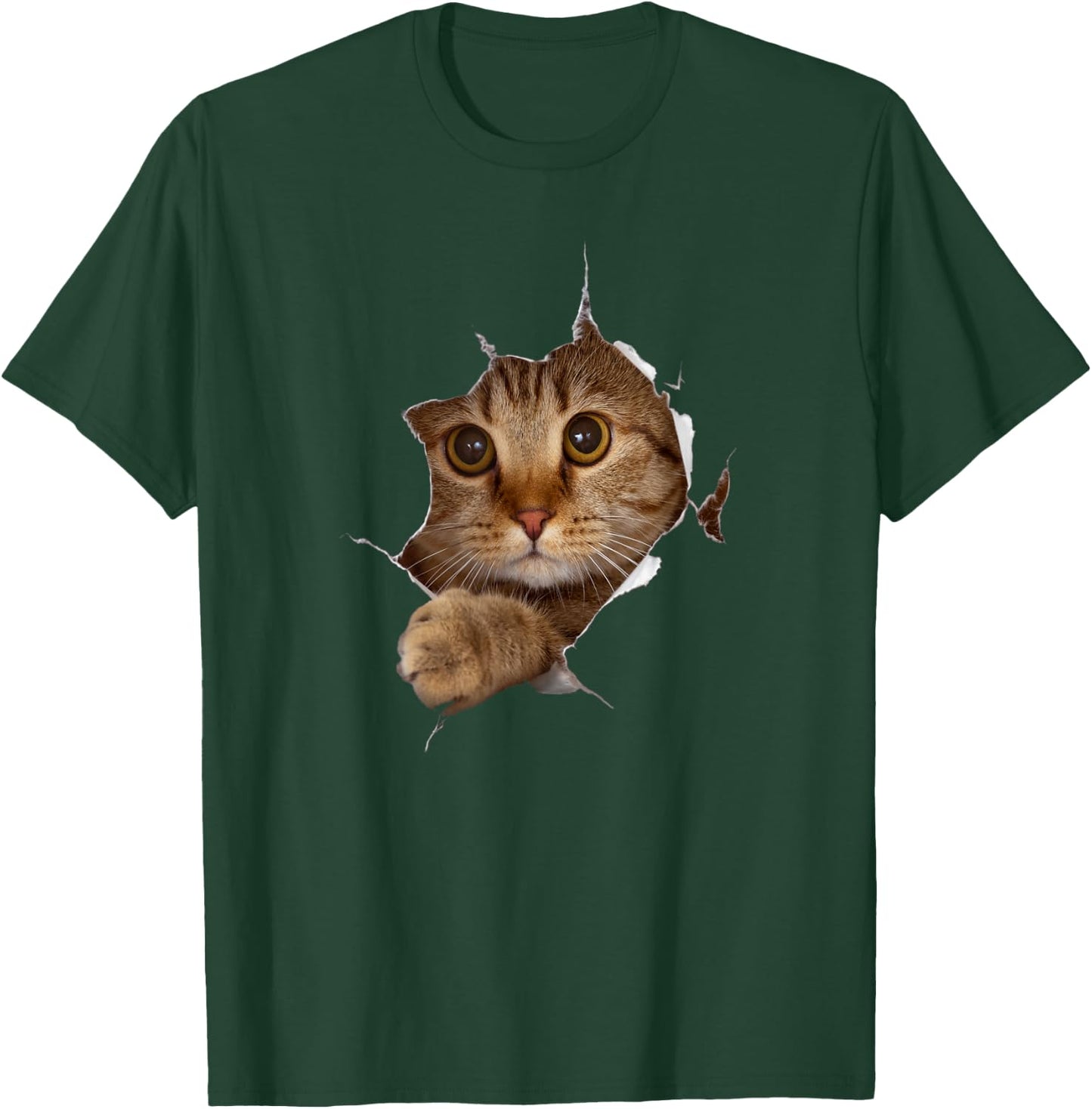 Sweet Kitten Torn Cloth - Funny Cat Lover Cat Owner Cat Lady T-Shirt - T-Shirt | Forest